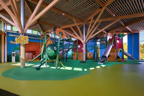 Les Landes De Gascogne foto 4