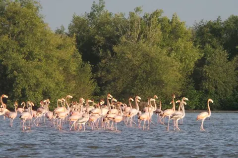 16-daagse rondreis Suriname Compleet in Anaula — foto 5