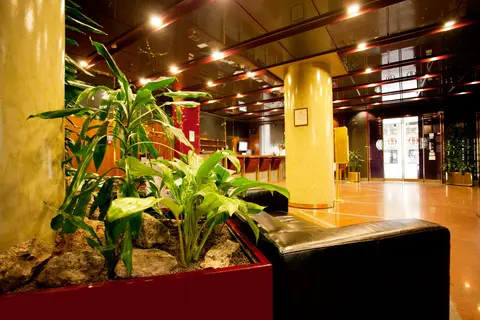 Hotel Diplomatic in Turijn — foto 10