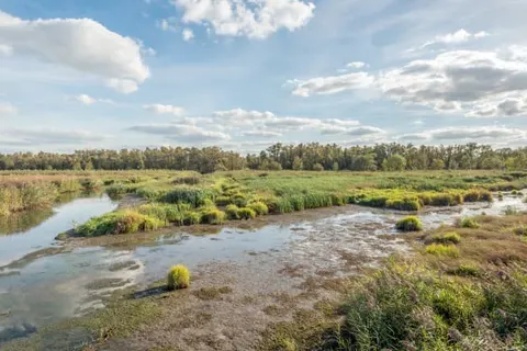 Postillion Hotel Breda Biesbosch foto 17