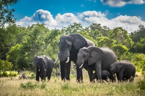 Ontdek het Noorden van Zuid-Afrika incl. Kruger in Noorderlijk Zuid-Afrika, Krugerpark, Panoramaroute — foto 10