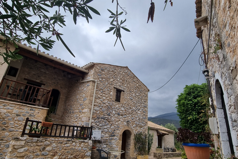 PIERIDES Suites & Studios foto 6