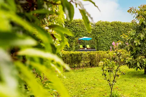 Quinta do Paraizo in Ribeira Grande — foto 20