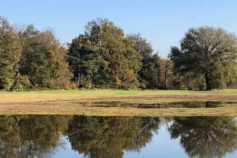 Camping Siesta foto 20