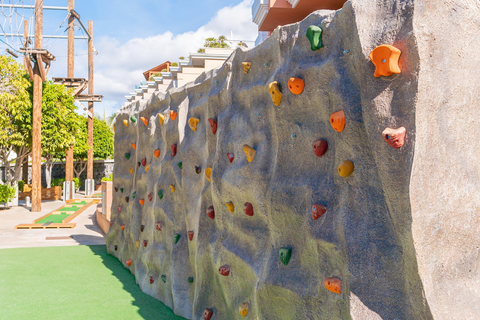 Landmar Costa los Gigantes foto 15