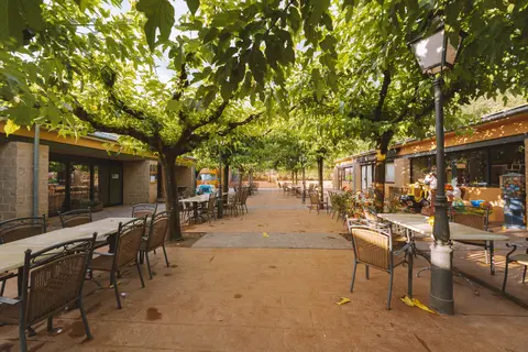Taïga Bassegoda Park in Albanyà — foto 7