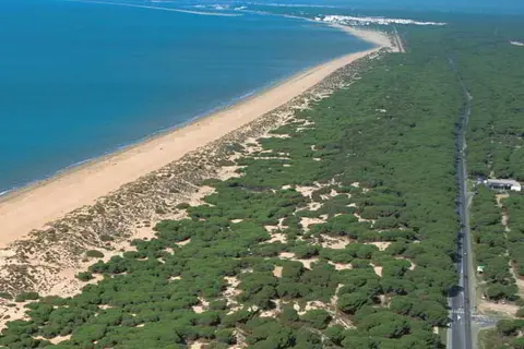 Leo Punta Umbria in Punta Umbría, foto 8