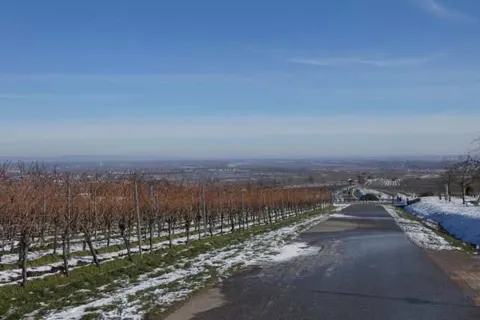 St. Martiner Castell foto 14