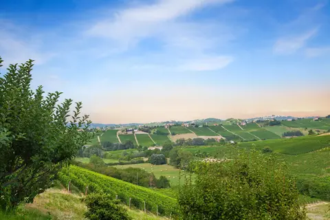 Cultuur en wijn in Piemonte, Mondovì in Mondovì — foto 17