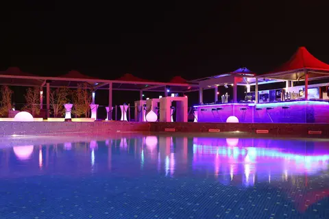Golden Tulip Muscat in Muskaatdruif — foto 19