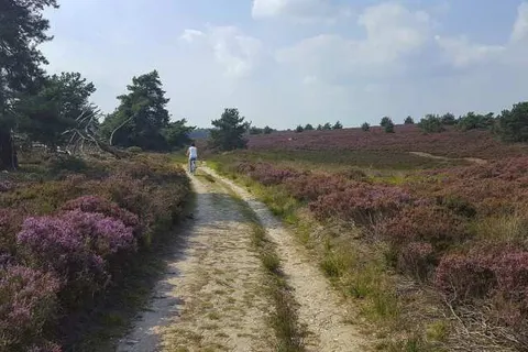 Bed and Breakfast Het Vinkenest foto 27