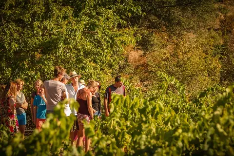 Du Domaine D Anglas in Brissac — foto 4