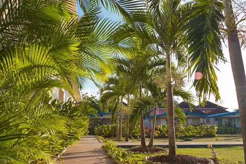 Travellers Beach Resort in Sandals Negril Beach Resort & Spa — foto 4