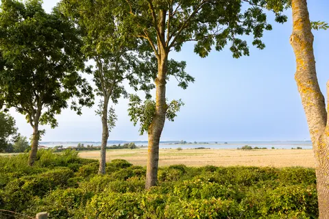 Camping Holbæk Fjord foto 14