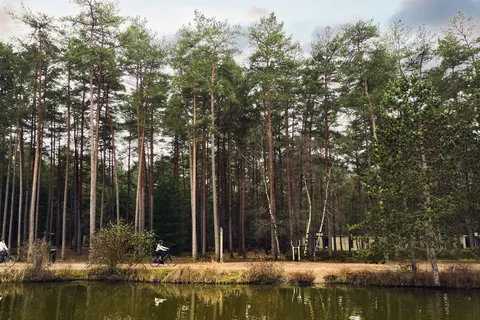 Les Hauts De Bruyères foto 40