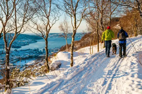 Ontdek het winteravontuur vanuit Voss foto 15