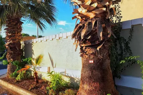 Asya Blue Apartments in Marmaris, foto 17