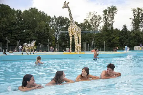 Recreatieoord Wilhelm Tell in Opglabbeek — foto 4