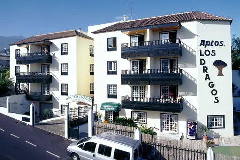 Dragos del Norte in Puerto De La Cruz — foto 7
