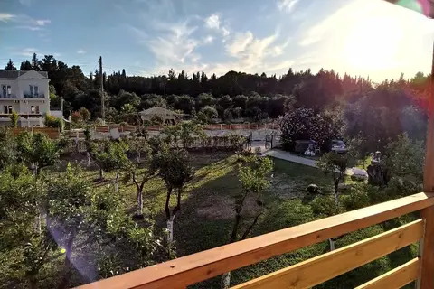 Ever Green in Δημοτική Ενότητα Λευκιμμαίων — foto 17