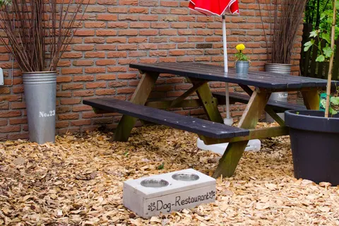 Vakantiepark Grafschaft Bentheim foto 7