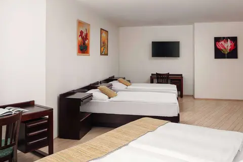 Ankora Hotel Prague in Praag, foto 10