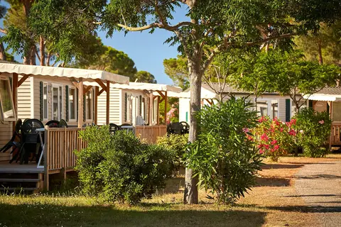 Le Domaine D Anghione in Castellare-di-Casinca — foto 8