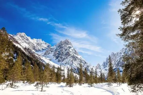 Hotel Der Tannenhof foto 13