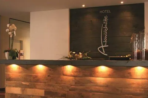 Hotel Antoniushütte foto 2