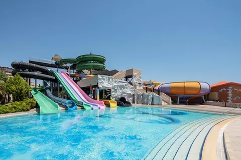 Papillon Belvil foto 3