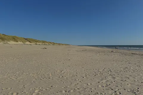 Dancamps Nordsø in Hvide Sande — foto 23