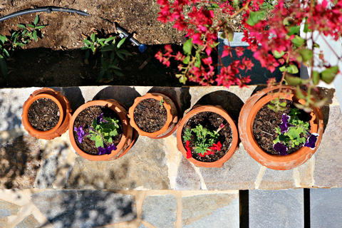 Proteas Hotel & Suites foto 11