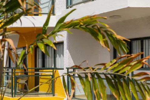 Alsol Africana in San Bartolomé de Tirajana — foto 41