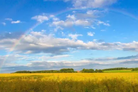 Hotel Meyerink foto 22