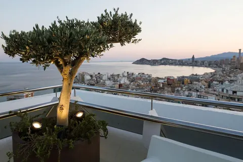 Madeira Centro foto 4