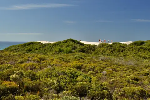 De Hoop Collection in De Hoop Nature Reserve — foto 8