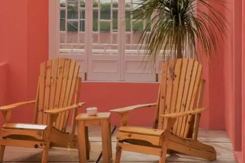 Herdade do Ananás in Ponta Delgada — foto 20