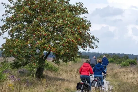 Vakantiepark De Kremmer foto 15