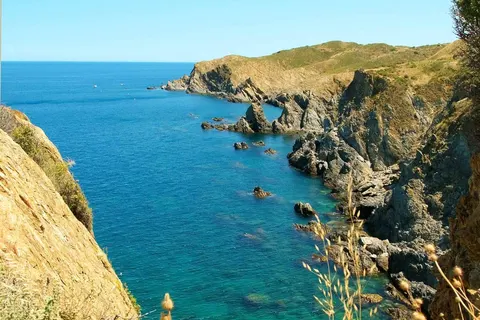 Camping Mas Sant Josep foto 42