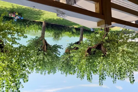 Camping Della Colombaia foto 16