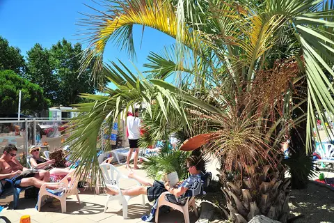 Les Ecureuils in Saint-Hilaire-de-Riez — foto 20