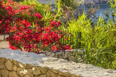 Chromata Assos Villas Kefalonia in Δημοτική Ενότητα Ερίσου — foto 29