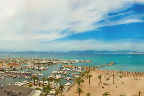 Kilimanjaro in Palma — foto 12
