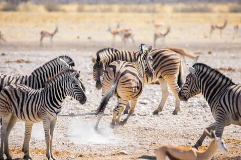 Perfect Match Namibia and Botswana foto 2