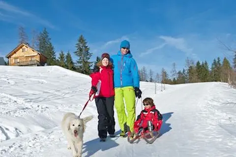 Vakantiepark Hochmontafon foto 17