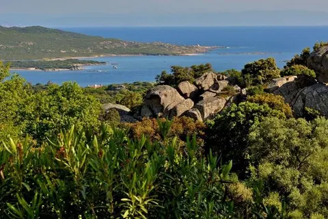 Camping Le Damier foto 4