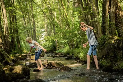 Nature Parc Saint Hubert in Saint-Hubert — foto 3