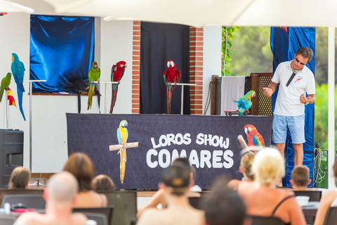 AluaSun Marbella Park foto 17