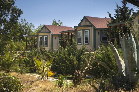 Zest @ Xi Beach foto 13