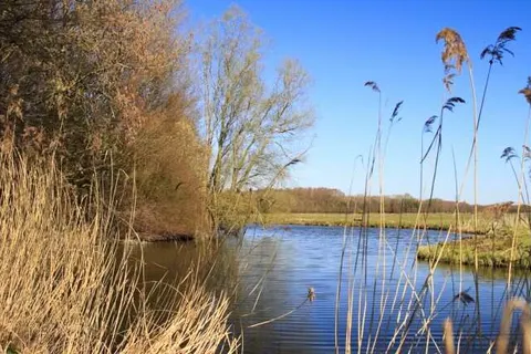 Stadshotel Geertruidenberg foto 25